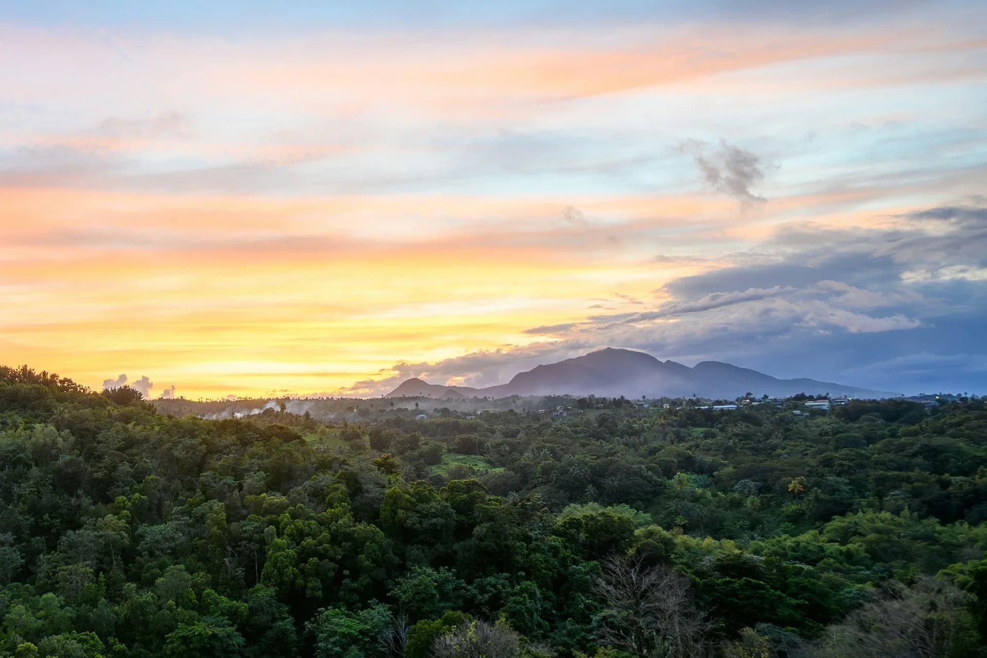 Dominica Citizenship by Investment: Country Guide