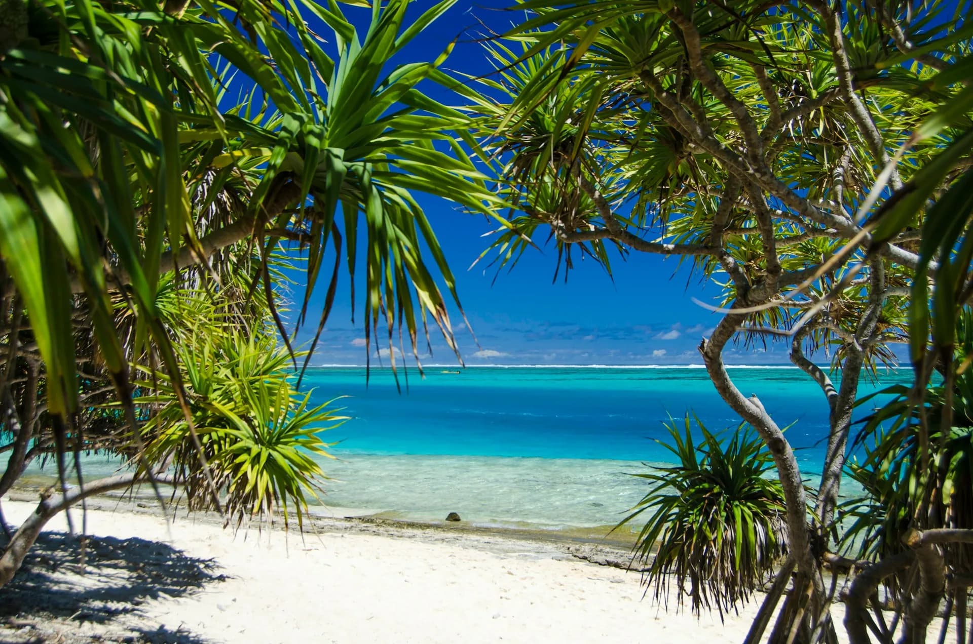 Vanuatu Citizenship by Investment: Country Guide